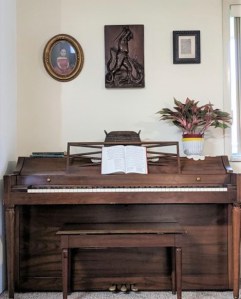 61150922_438237636975960_2048930993418534912_n